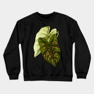 Caladium Freckles - botanical illustration Crewneck Sweatshirt